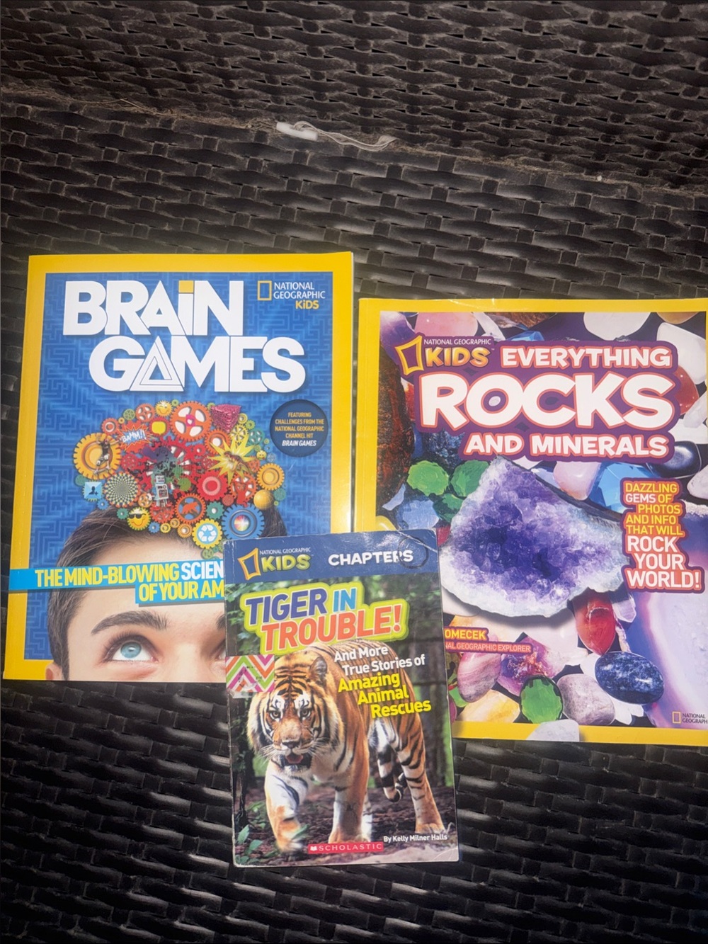 National Geographic Kids books Everything Rocks, Brain Games, and Tiger